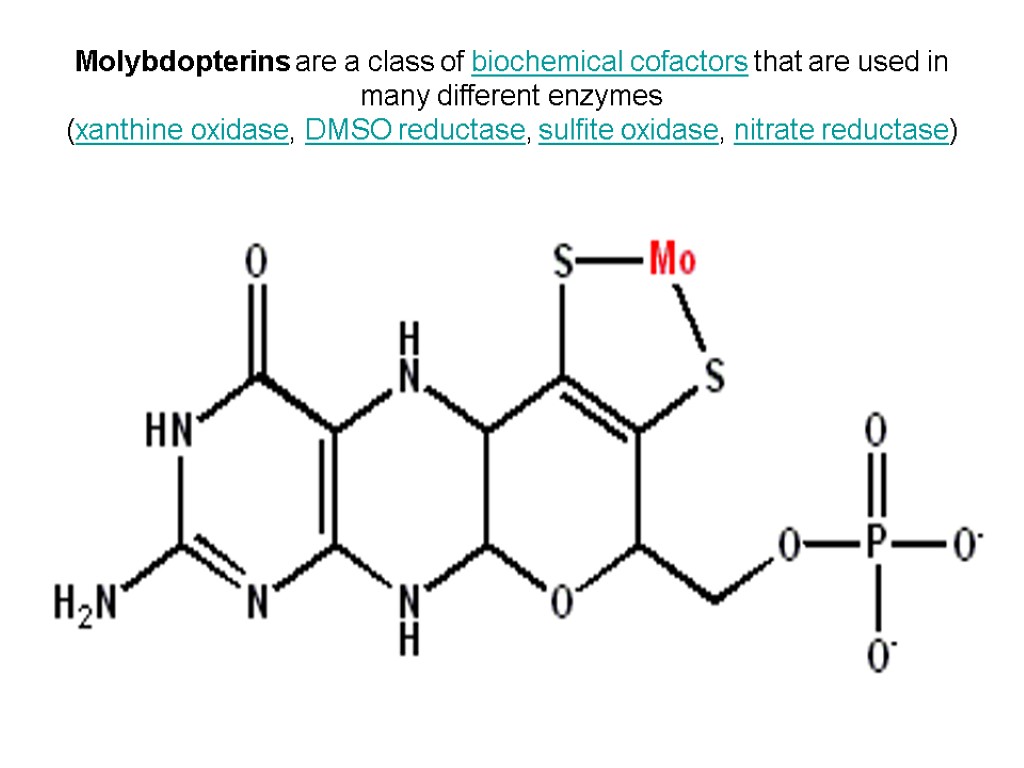 Molybdopterins are a class of biochemical cofactors that are used in many different enzymes